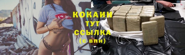 гидра Вязники