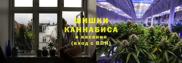 гидра Вязники